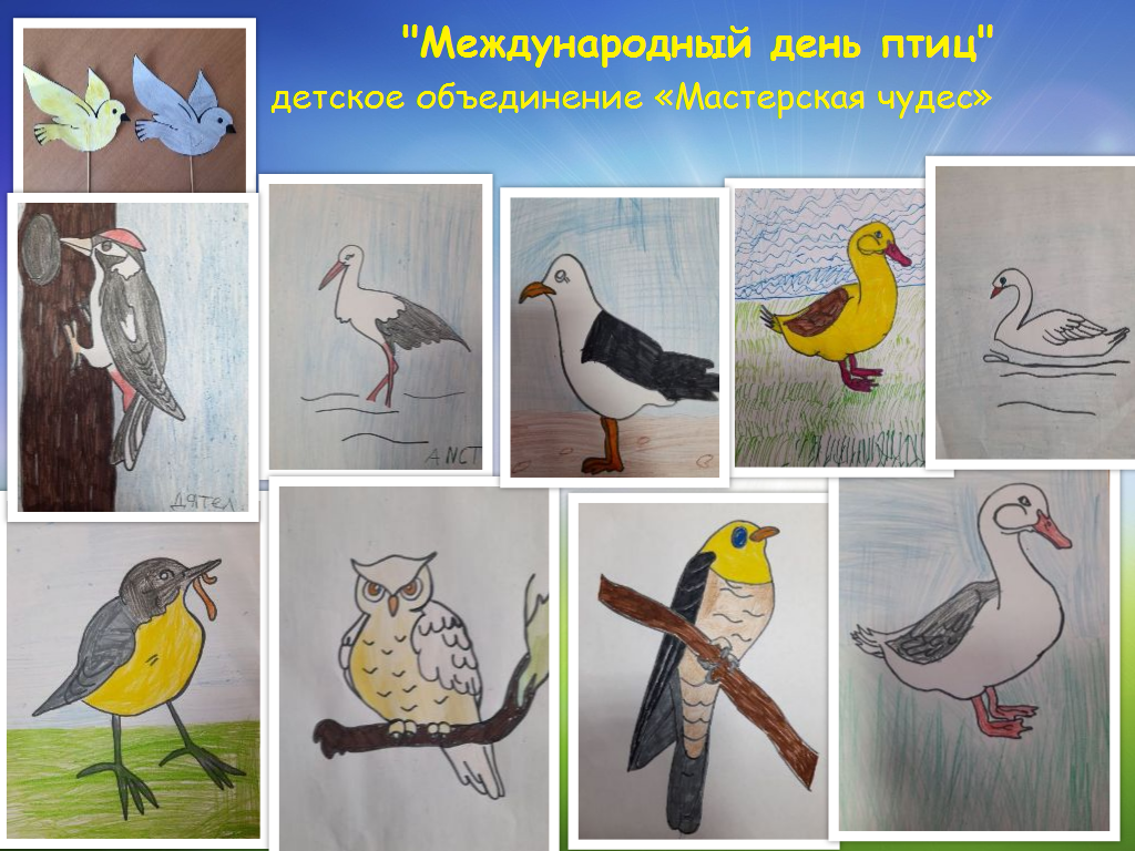 День птиц рисунки детей. Выставка рисунков птицы. Международный день птиц рисунок. Выставка рисунков ко Дню птиц. 1 Апреля день птиц.